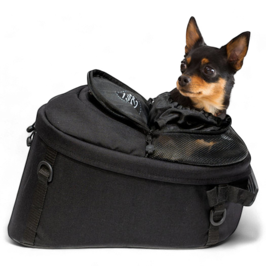 Moottoripyöräily ja pienet koirat – Matkakaverit, jotka pärjää!