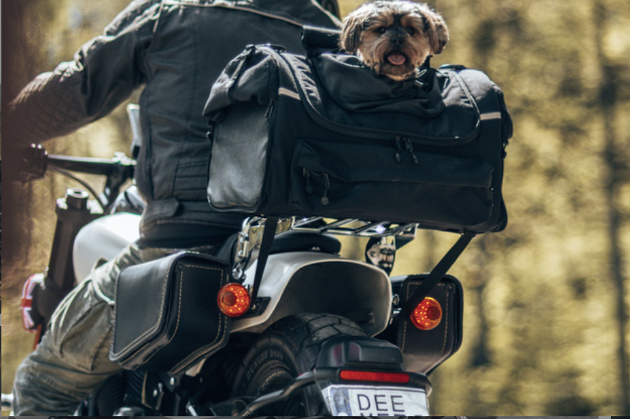 DeeMeed Motorcycle lemmikkilaukku LARGE (11-20 kg | 25-44 lb) CORDURA(R) Panoramic