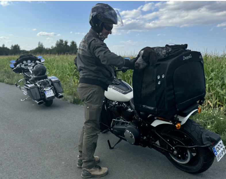 DeeMeed Motorcycle lemmikkilaukku LARGE (11-20 kg | 25-44 lb) CORDURA(R) Panoramic