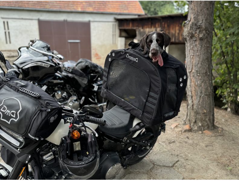 DeeMeed Motorcycle lemmikkilaukku LARGE (11-20 kg | 25-44 lb) CORDURA(R) Panoramic